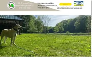 Camppapillon.org Screenshot 2024-07-01 11:31:21