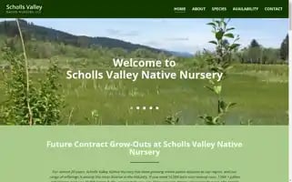 Schollsvalley.com Screenshot 2024-07-06 17:53:22