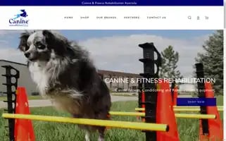 Cfraus.com.au Screenshot 2024-05-03 13:42:58