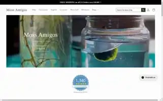 Mossamigos.com Screenshot 2024-05-16 08:24:04