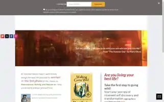 Transformation-travel.com Screenshot 2024-04-17 18:01:59