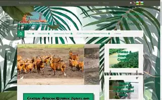 Centralafricanrepublictours.com Screenshot 2024-04-22 18:51:43