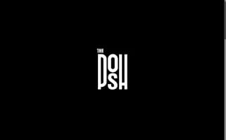 Theposh.agency Screenshot 2024-06-16 12:39:10