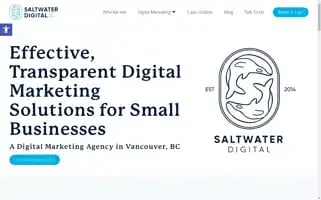 Saltwaterdigital.com Screenshot 2024-06-13 14:05:54