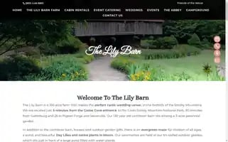 Lilybarn.com Screenshot 2024-06-11 13:45:06