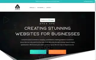 Apexape.uk Screenshot 2024-06-16 19:56:21