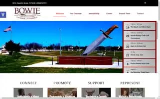 Bowietxchamber.org Screenshot 2024-07-09 01:42:10