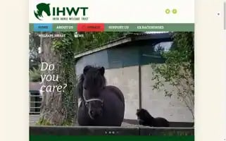 Ihwt.ie Screenshot 2024-06-11 19:14:49