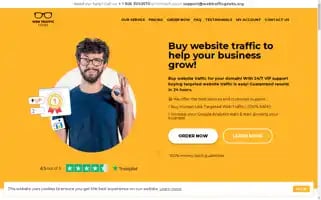 Webtrafficgeeks.org Screenshot 2024-06-30 08:29:33