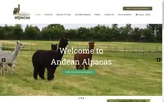 Andeanalpacas.ie Screenshot 2024-05-18 03:25:12