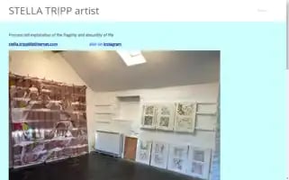 Stellatripp.co.uk Screenshot 2024-04-17 08:43:03