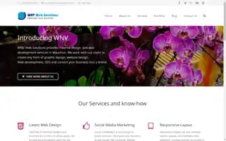 Wnv-solutions.com Screenshot 2024-06-17 20:52:22