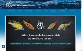 Wetspottropicalfish.com Screenshot 2024-06-12 19:17:39