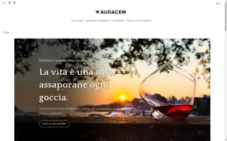 Audacem.com Screenshot 2024-04-22 10:41:45