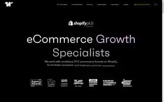 Wiro.agency Screenshot 2024-06-13 22:30:07