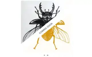 Pentapus-ink.ch Screenshot 2024-05-28 07:31:31