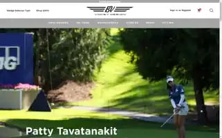 Vokey.com Screenshot 2024-07-06 01:19:10