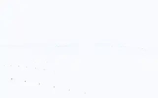 Akilhastanesi.com Screenshot 2024-07-08 10:52:07