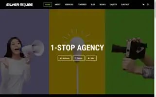 Silvermouse.com.my Screenshot 2024-07-10 02:05:55