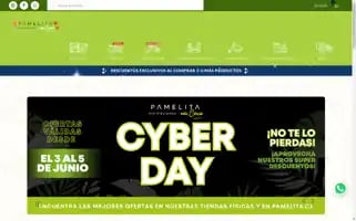 Pamelita.cl Screenshot 2024-05-19 15:02:07