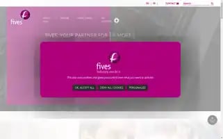 Fivesgroup.com Screenshot 2024-06-30 00:42:18