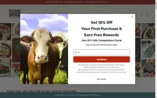 Allyallsfoods.com Screenshot 2024-07-01 11:03:34