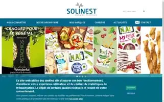 Solinest.com Screenshot 2024-06-17 02:01:09