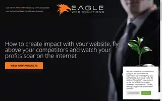 Eaglewebs.co.uk Screenshot 2024-07-04 22:48:13