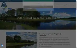 Angelsee.info Screenshot 2024-06-16 11:37:18