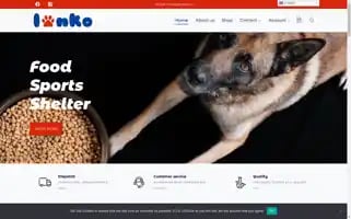 Lanko.be Screenshot 2024-05-28 01:40:42