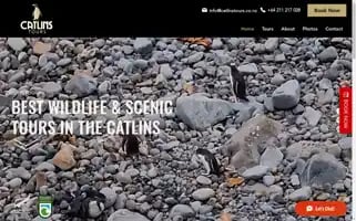 Catlinstours.co.nz Screenshot 2024-04-16 00:18:33