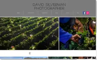 Dpsimages.com Screenshot 2024-07-04 21:04:33