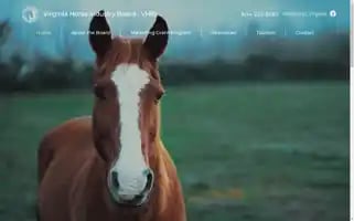 Vhib.org Screenshot 2024-06-30 08:16:20