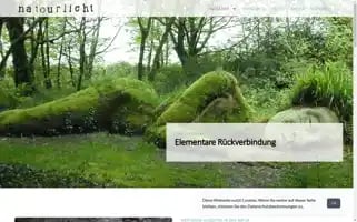 Natourlicht.ch Screenshot 2024-04-24 01:41:48