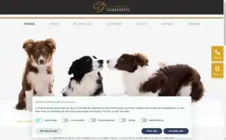 Cfhundehotel.dk Screenshot 2024-04-23 20:15:55