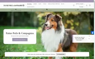 Pattespoilsetcompagnies.com Screenshot 2024-05-03 20:08:08