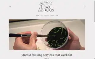 Theflaskfactory.com Screenshot 2024-04-27 06:09:33