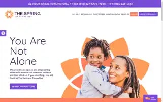 Thespring.org Screenshot 2024-05-16 21:17:05