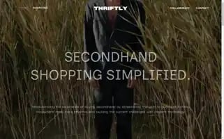 Findthriftly.com Screenshot 2024-05-03 21:39:12