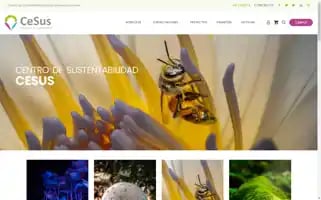 Cesus.org Screenshot 2024-05-21 03:24:41