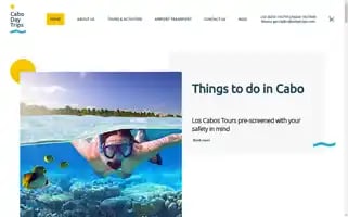 Cabodaytrips.com Screenshot 2024-04-23 20:45:07