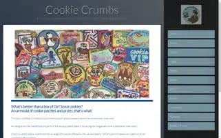 Gscookie.co Screenshot 2024-06-30 22:29:44