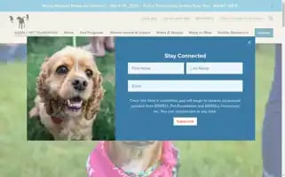 Bissellpetfoundation.org Screenshot 2024-06-12 21:42:05