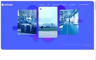 Apicdmo.com Screenshot 2024-06-11 13:27:32