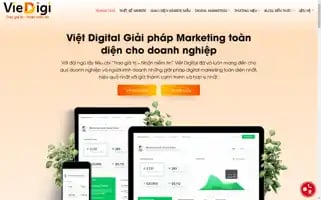 Viedigi.vn Screenshot 2024-06-26 12:00:38