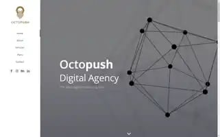Octopush.agency Screenshot 2024-06-16 15:05:25