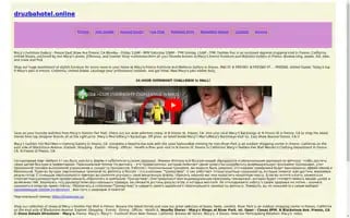 Druzbahotel.online Screenshot 2024-04-17 02:01:22