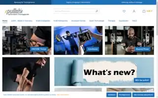 Pullsh.net Screenshot 2024-07-05 06:08:59