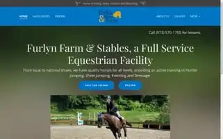 Furlyn.com Screenshot 2024-06-13 23:28:40