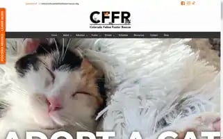 Coloradofelinefosterrescue.org Screenshot 2024-06-12 21:41:54